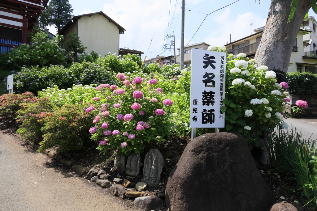 矢名薬師 東光寺