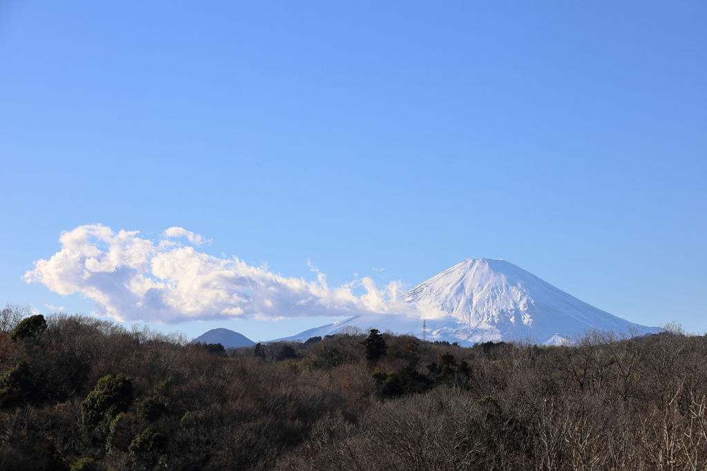 煙管をくゆらす富士山