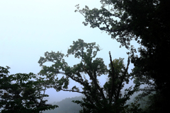 霧の弘法山