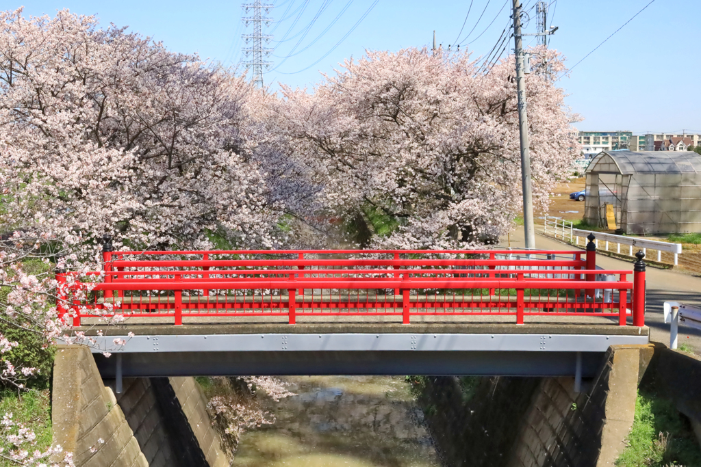 富士見橋