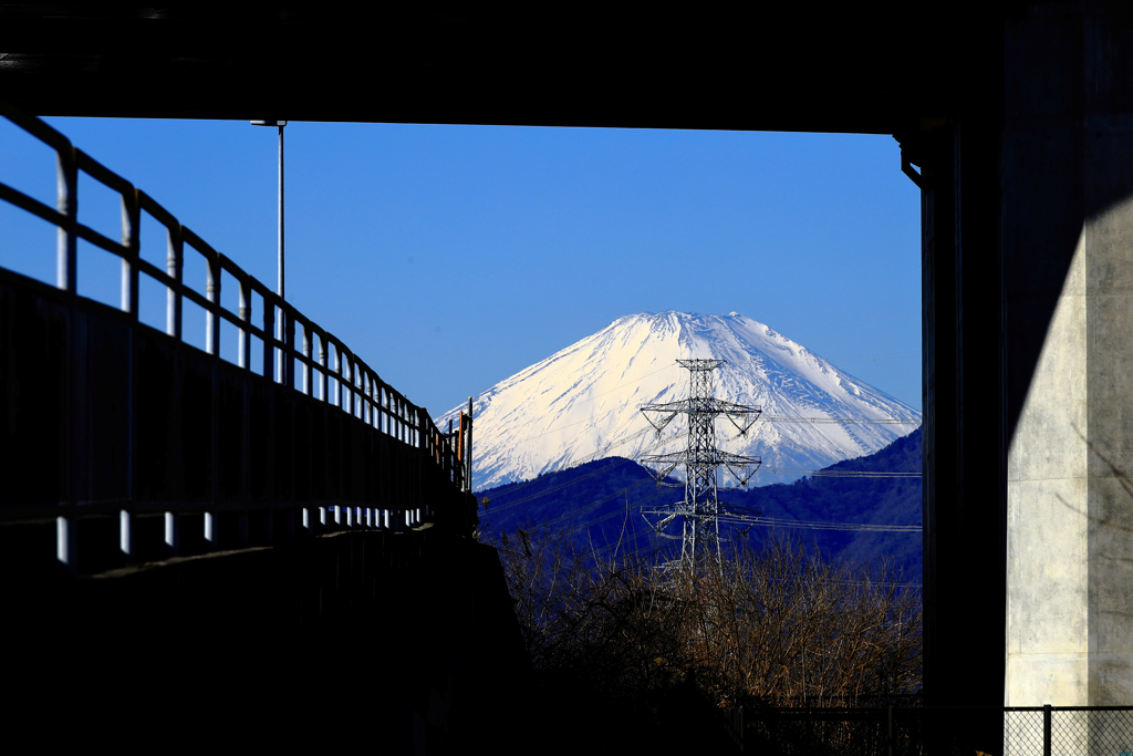 いまそこにいる富士山