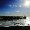 冬の海