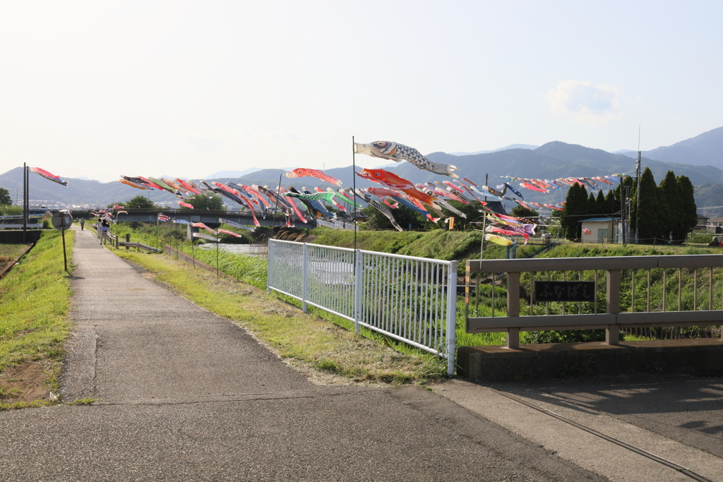 鈴川鯉のぼりまつり