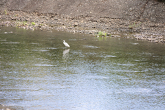 遠くを見つめる