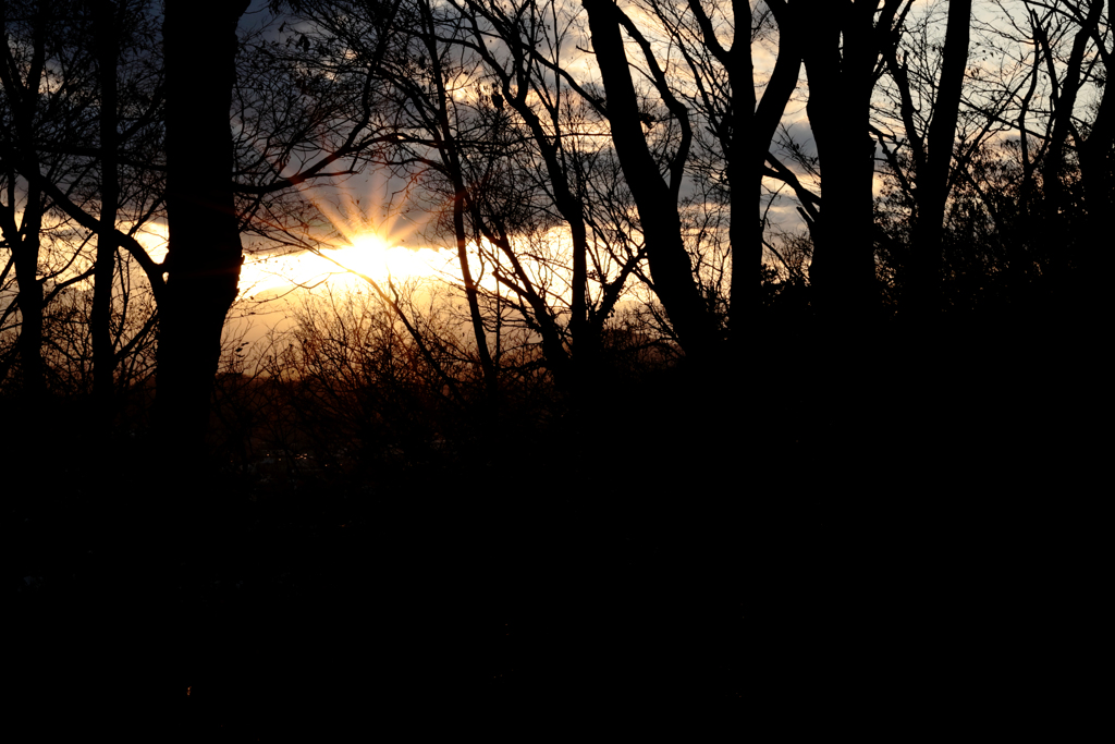夕陽
