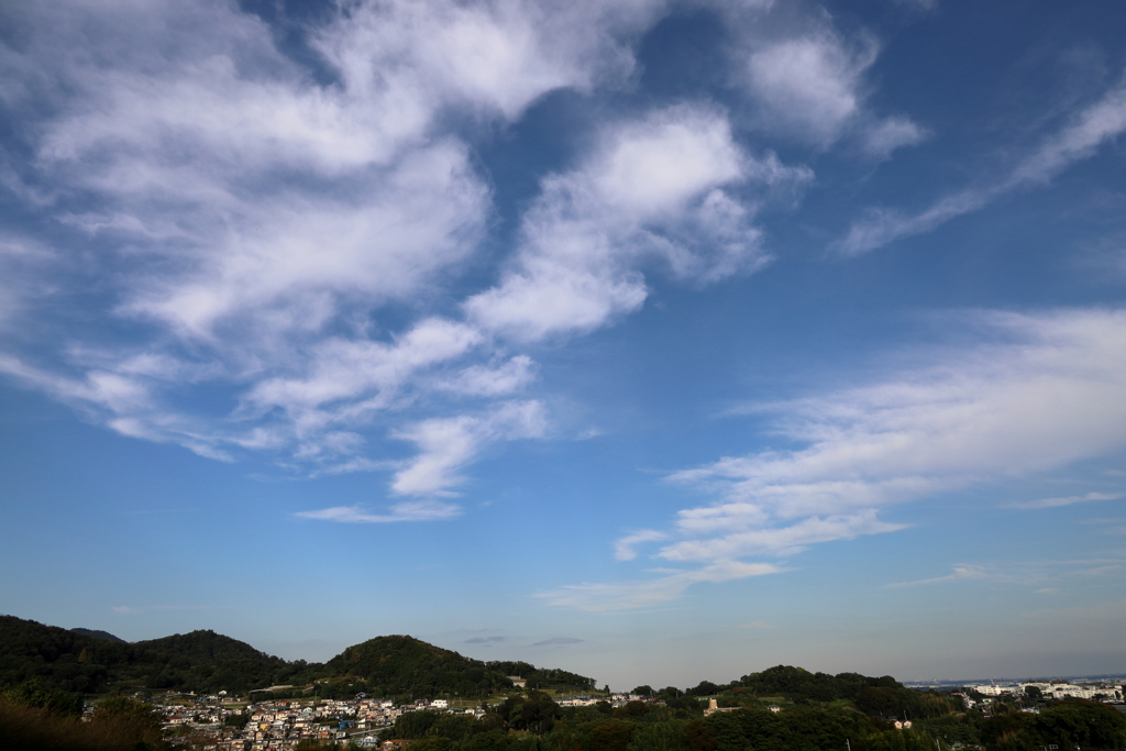 初冬の空　鱗のように