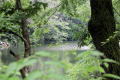 夏の震生湖