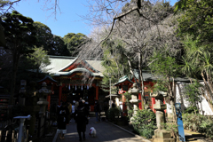 江ノ島観光　江島神社 中津宮