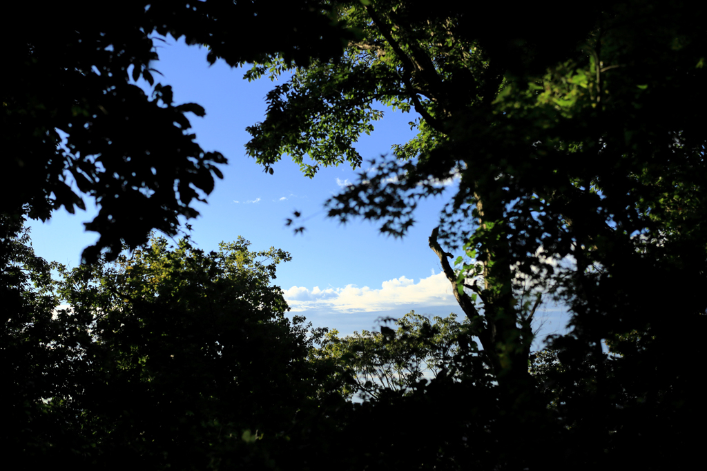 小窓から青い空