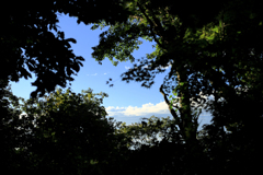 小窓から青い空