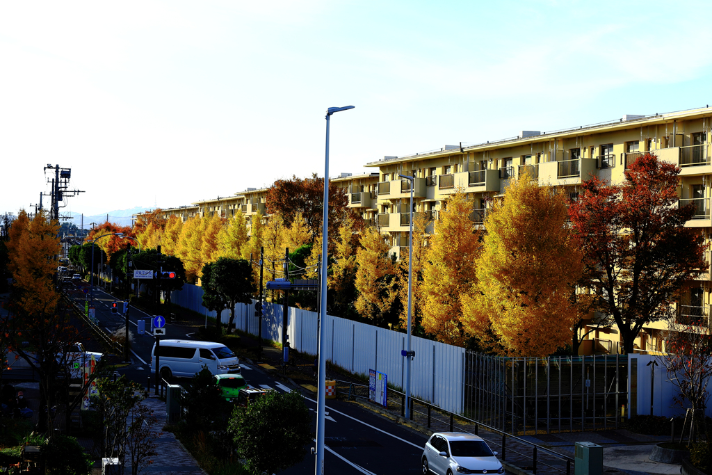 浜見平の鉄砲通
