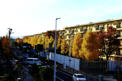 浜見平の鉄砲通