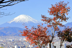 紅葉と富士山