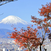 紅葉と富士山