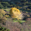 山の東側　テレ端