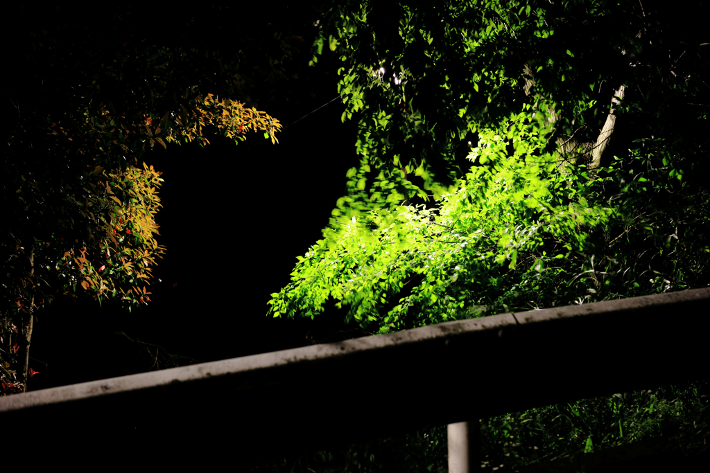 ガードレール越し