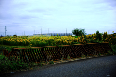 鉄橋