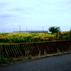 鉄橋