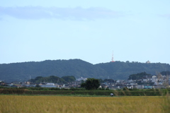 遠くに湘南平を眺めながら