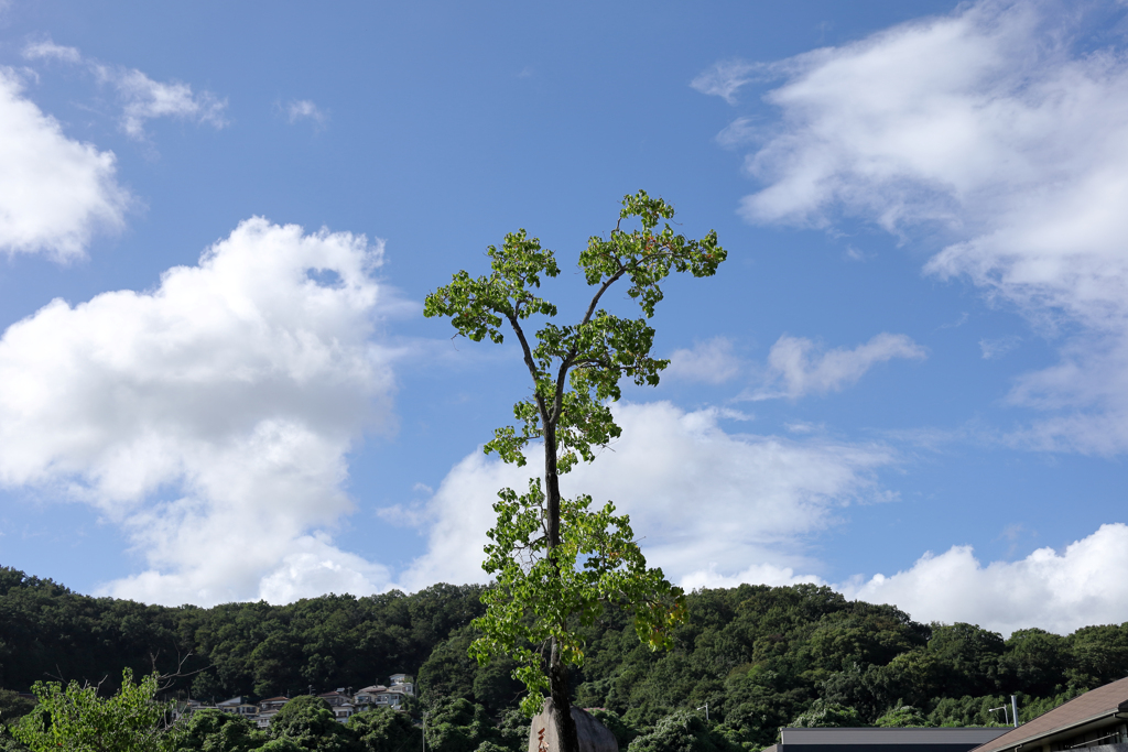青い空と白い雲と