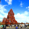昭和記念公園の紅葉　広場を見下ろす
