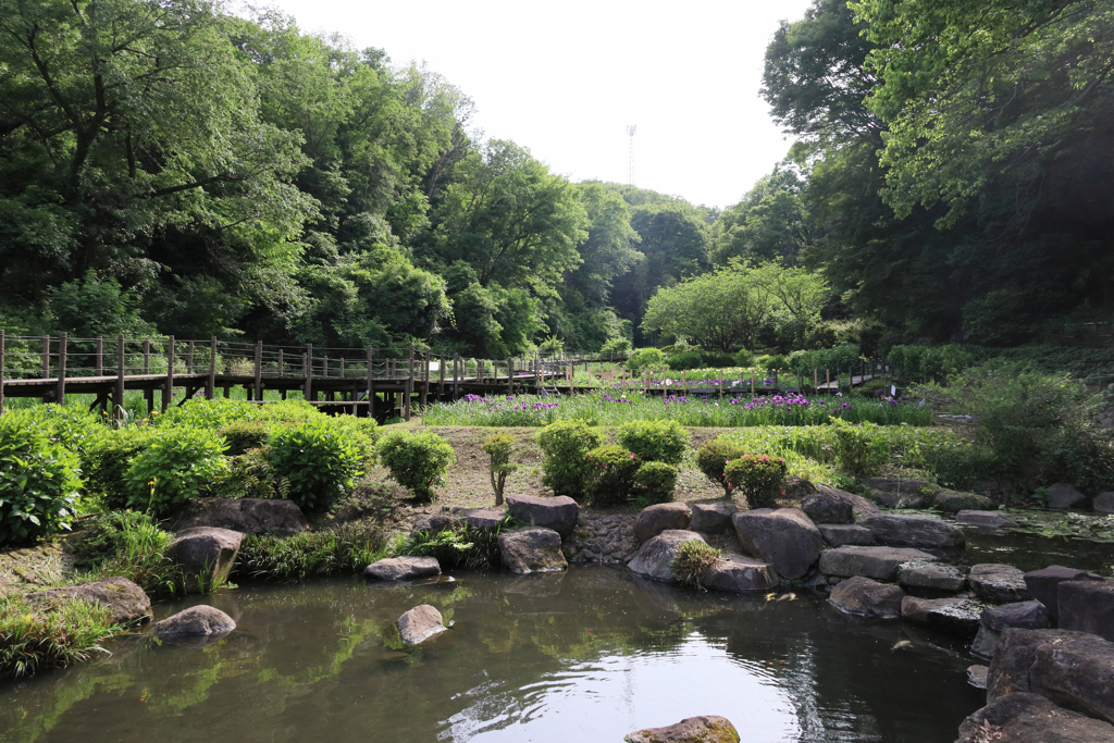 二宮せせらぎ公園　休憩所から見上げる