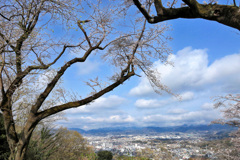 弘法山の春
