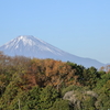 紅葉の先に富士山