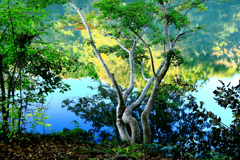 紅葉が始まった震生湖