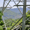 鉄塔からの景色