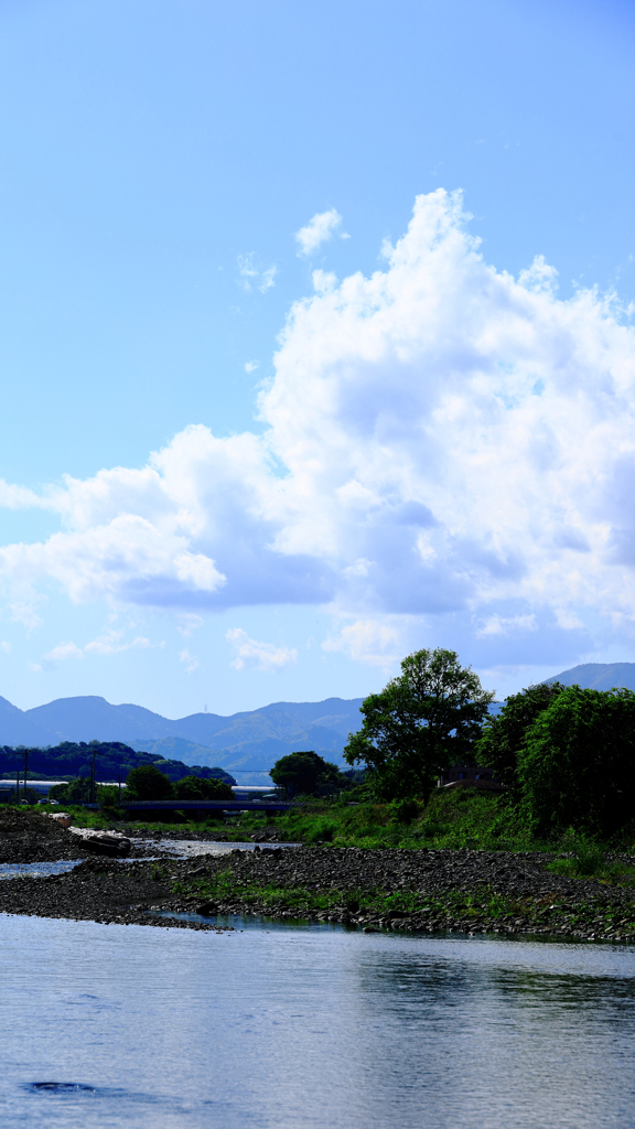 一本木と白い雲