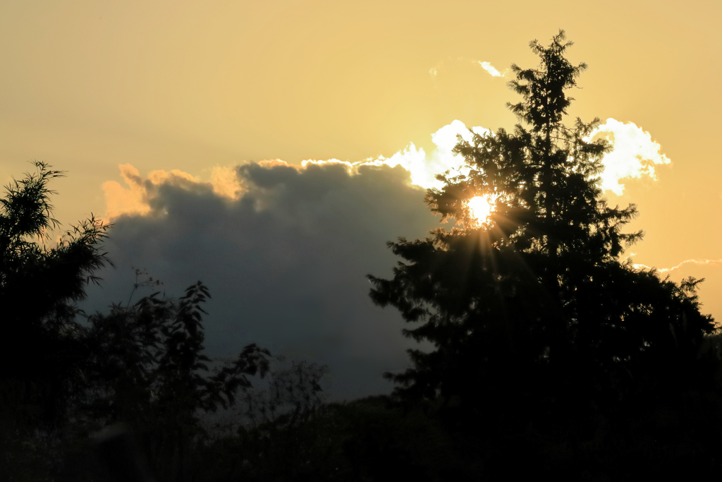 雲の切れ間と木の陰と