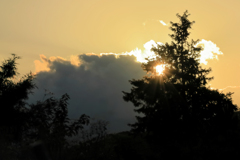 雲の切れ間と木の陰と