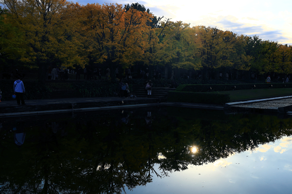 昭和記念公園の池