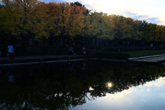 昭和記念公園の池