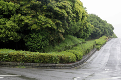 雨の坂道