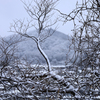 雪のある風景