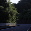 山奥のバイパス