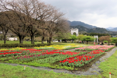 秦野戸川公園