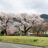 秦野戸川公園