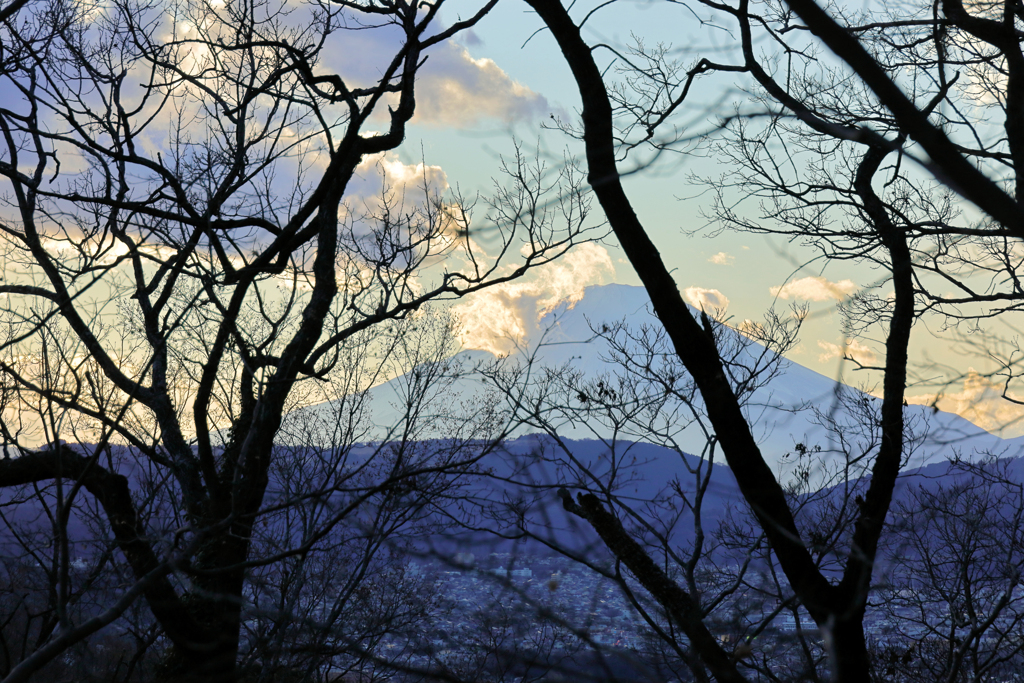 夕陽を浴びた富士