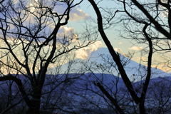 夕陽を浴びた富士