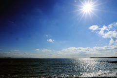 冬の海