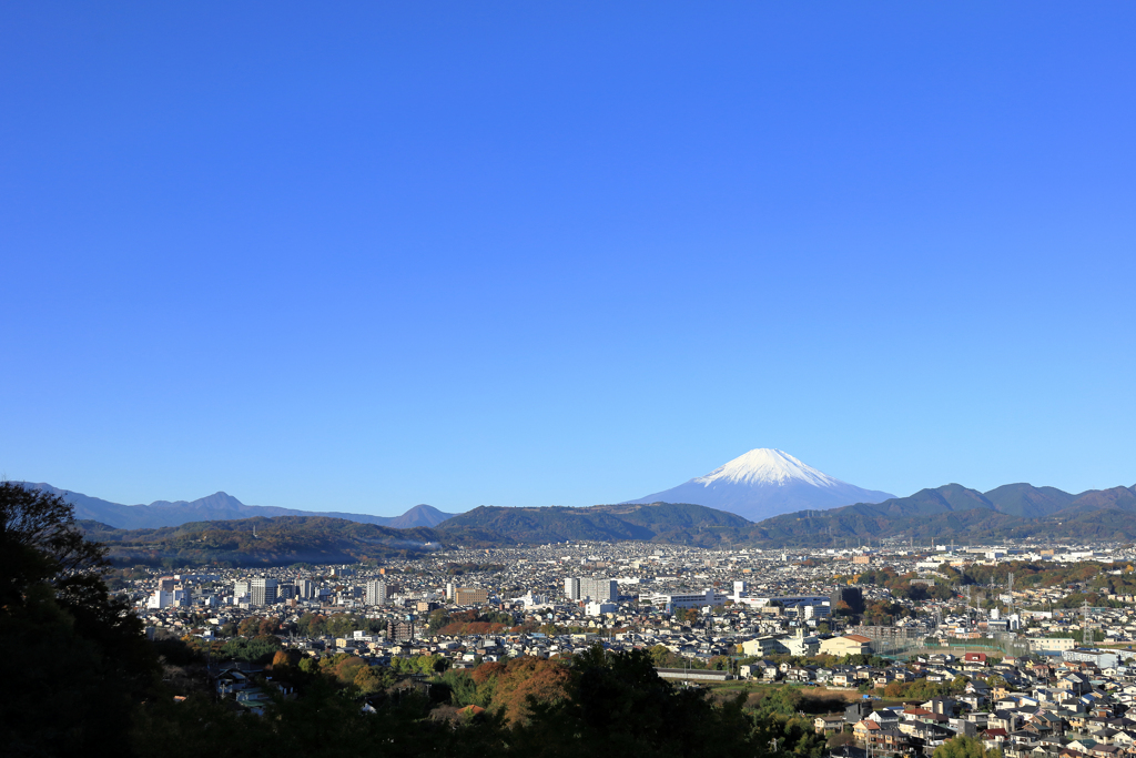 秦野盆地と富士山