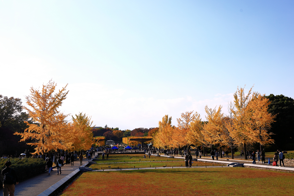 昭和記念公園の園外
