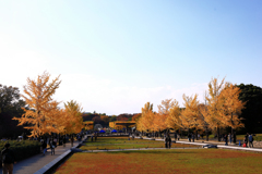 昭和記念公園の園外