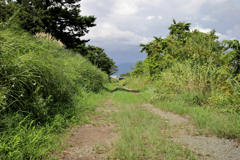 川沿いの一本道