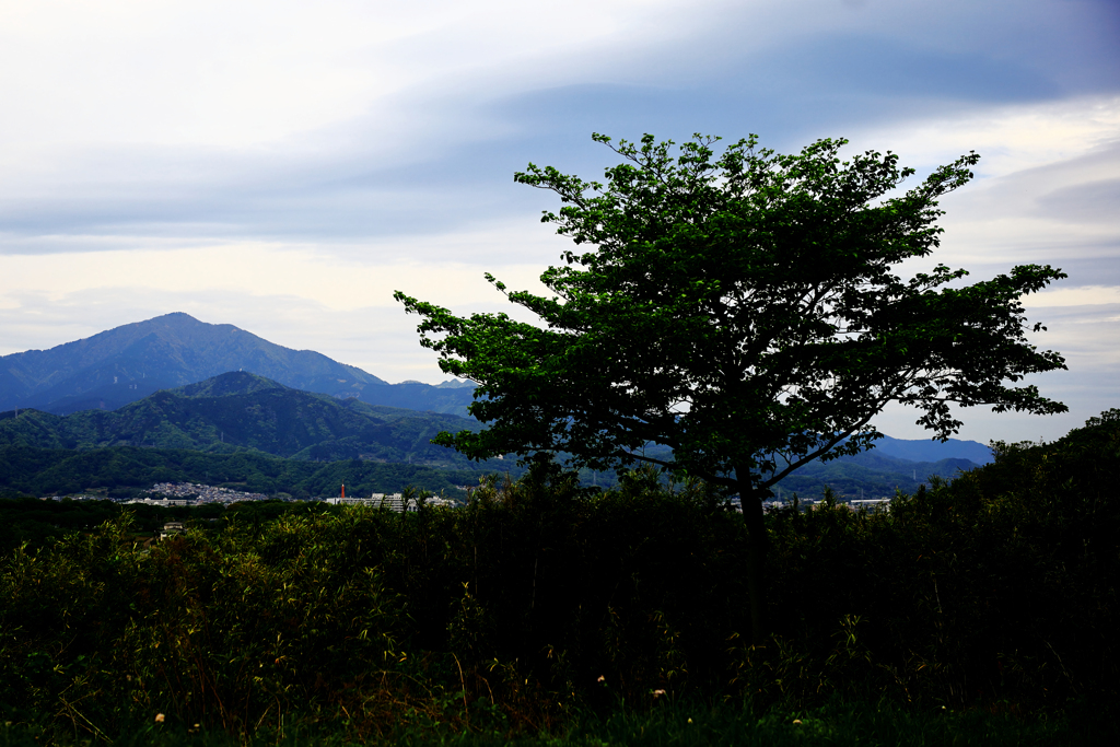 一本木と丹沢山系