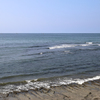 湘南の海