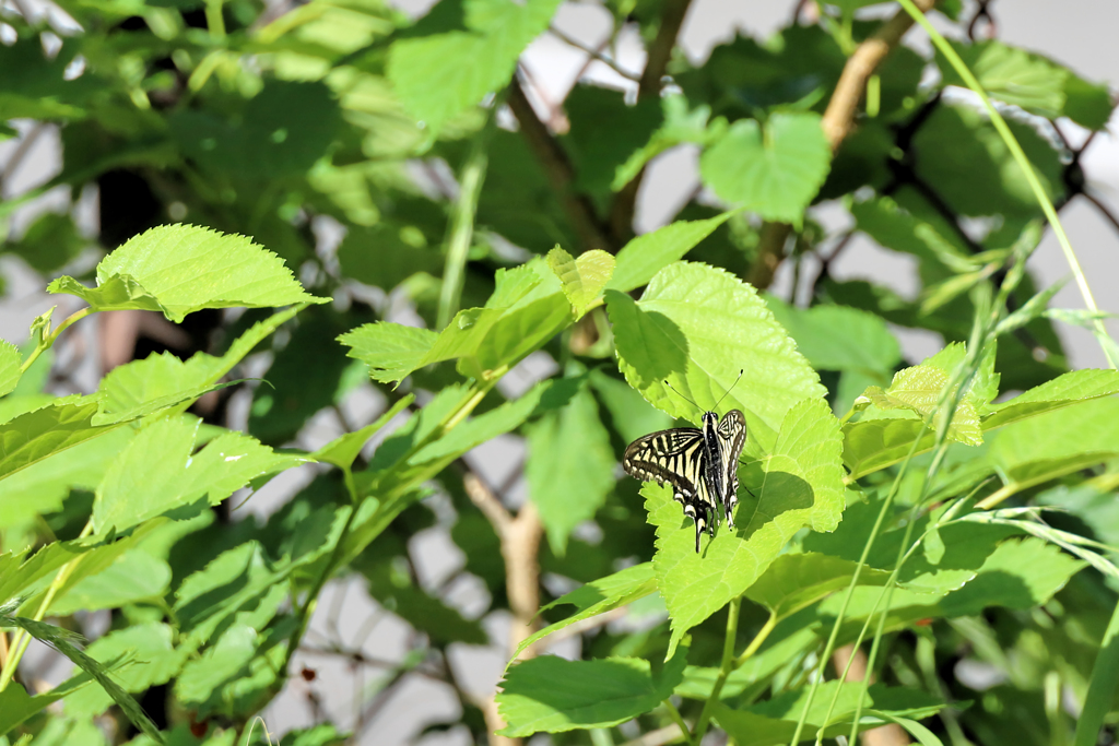 ふと目を向けると